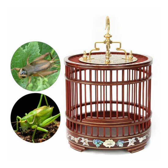 Home Red Sandalwood Carved Cricket Grasshopper Cage Little Pet Animal Container image {1}