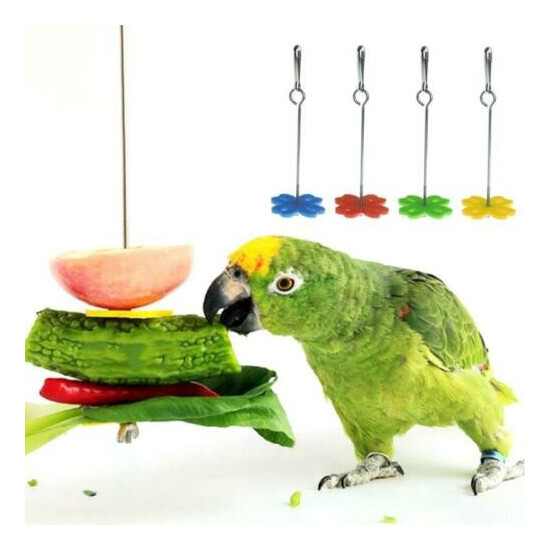 Parrot Fruit Fork Feeding Birds Hang Cage Stainless Steel Parakeet Skewer 2 Size image {1}