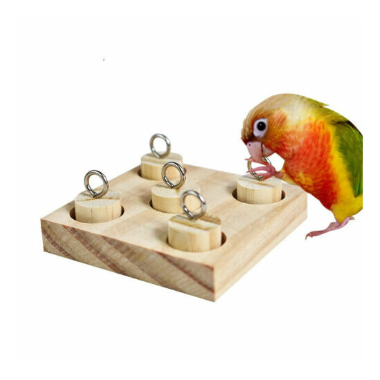 Birds Parrot Wooden Platform Plastic Rings Intelligence Training Chew Puzzle .CG image {1}